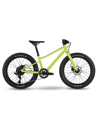 BMC | Jugend Mountainbike 20" Twostroke AL | 