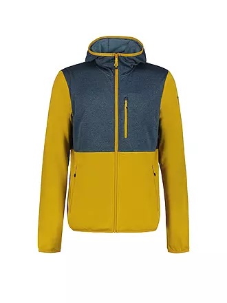 ICEPEAK | Herren Fleecejacke Barnwell | blau