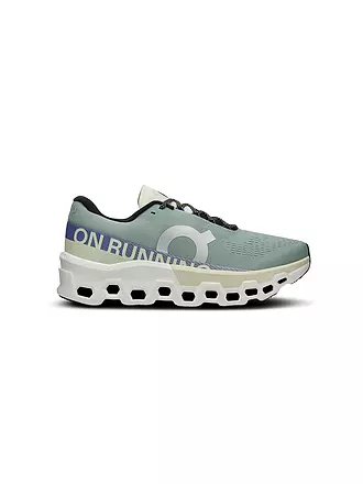 ON | Herren Laufschuhe Cloudmonster 2 | grau