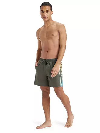 QUIKSILVER | Herren Beachshort Everyday Holmes 16