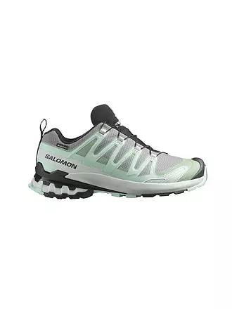 SALOMON | Damen Multifunktionsschuhe XA PRO 3D V9 GTX | mint