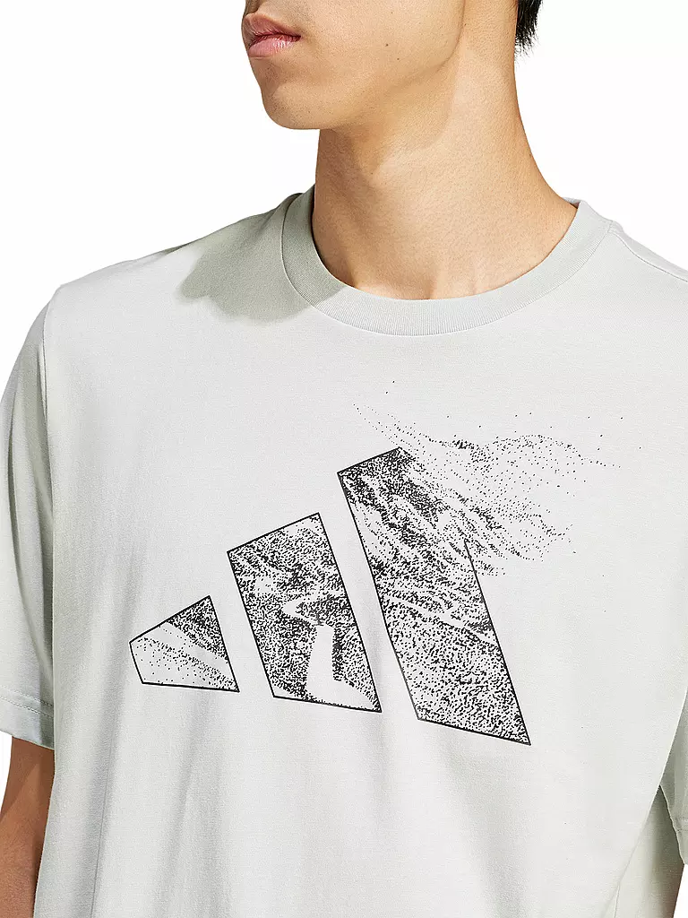 ADIDAS | Herren T-Shirt City Escape Logo Graphic | grau