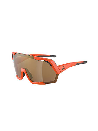 ALPINA | Herren Bergbrille Rocket Bold Q-Lite