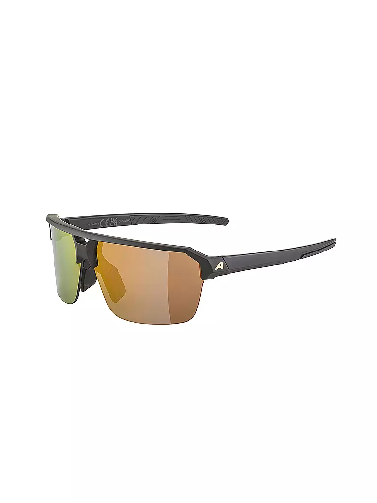 ALPINA | Herren Radbrille Swift HR | schwarz