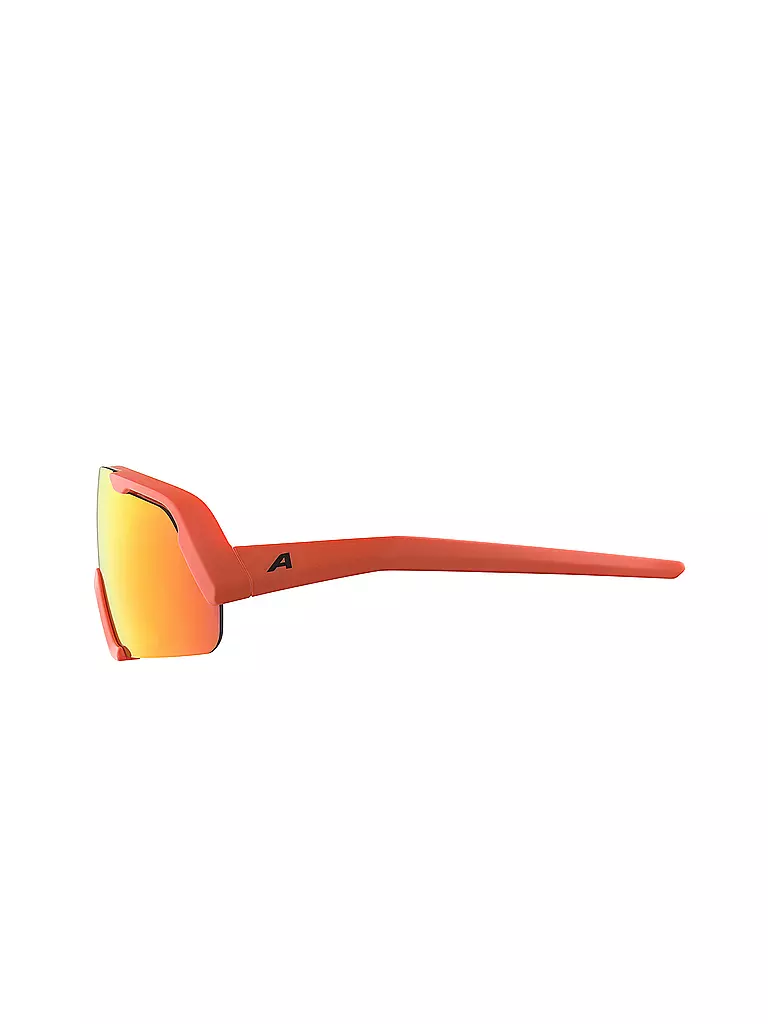 ALPINA | Kinder Radbrille Rocket | grau