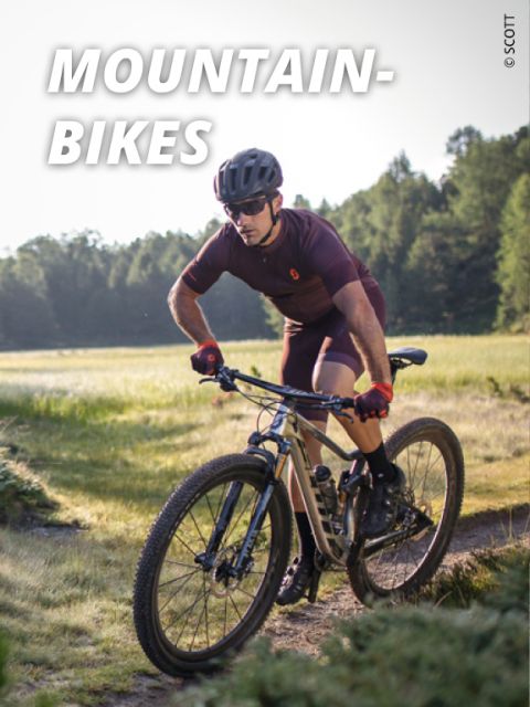 bike-mountainbikes-fs25-576×768-1