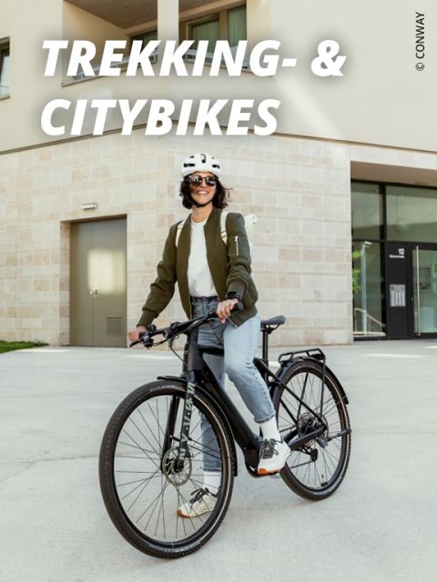 bike-citybikes-trekkingbikes-fs25-576×768-1