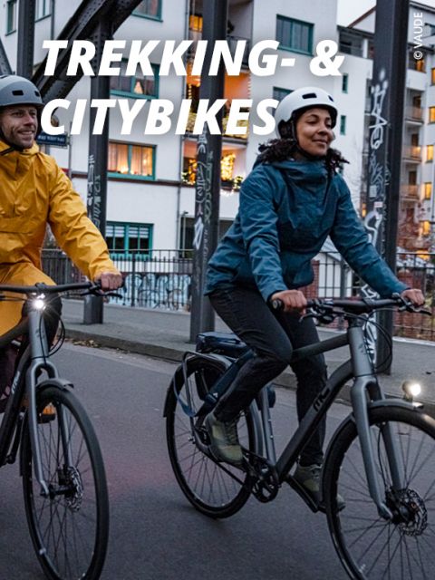 bike-citybikes-trekkingbikes-hw24-576x768_