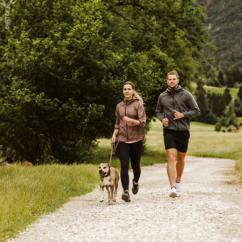 Bilder-Blog-Sport-mit-Hund_fs24_480x480_cover