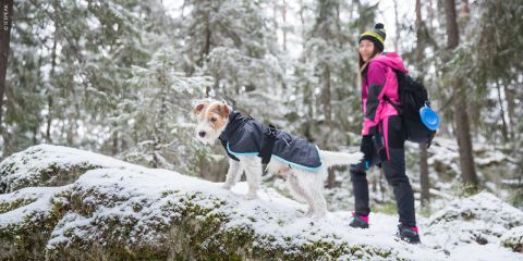 Bilder-Blog-Sport-mit-Hund_fs24_wintersport