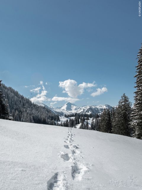 Outdoorschuhe-Einsatzbereich-Winterwandern-576×768