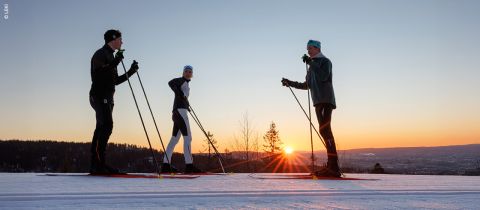 Blog-Langlaufloipen-Oesterreich_3_hw24_1120x490