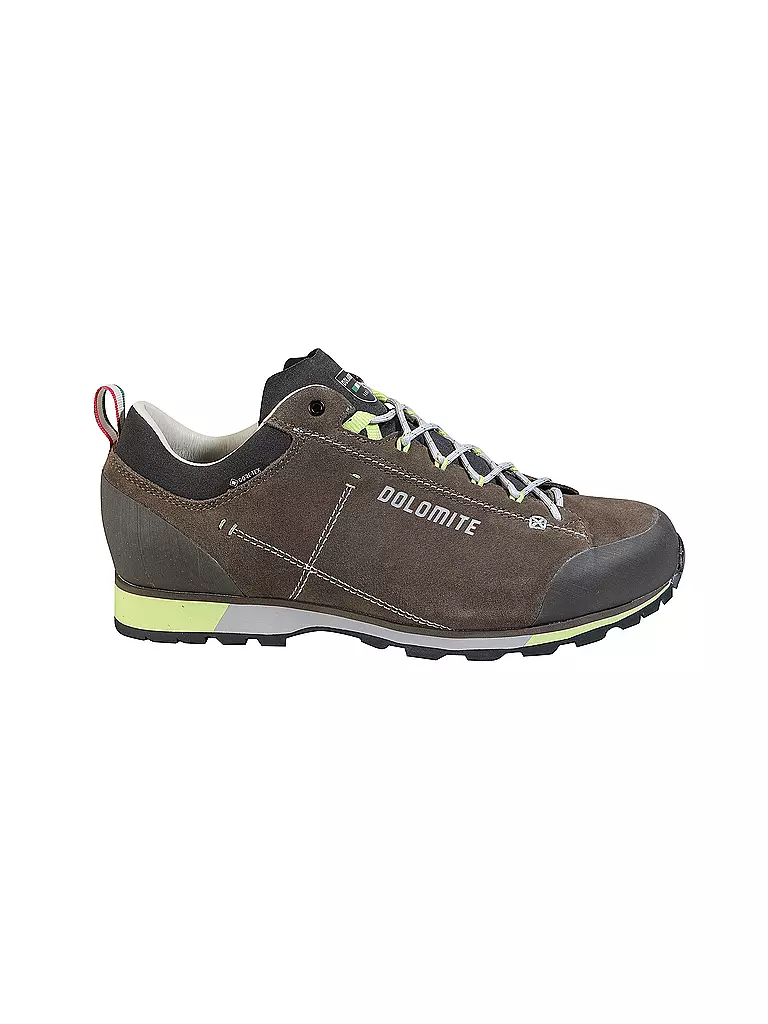 DOLOMITE | Herren Wanderschuhe 54 Hike Low Evo GTX | braun