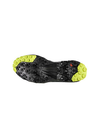 LA SPORTIVA | Herren Speedhikingschuhe Akyra GTX