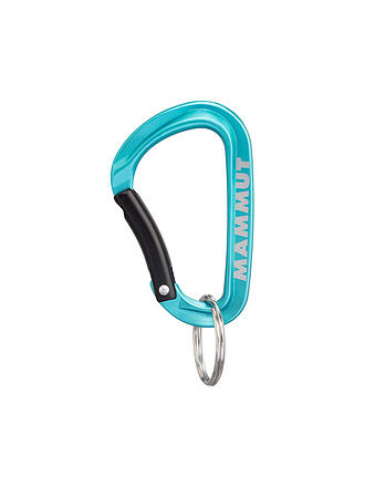 MAMMUT | Mammut Mini Carabiner Classic Keylock S