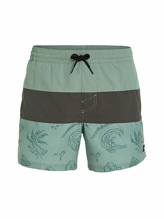 O'NEILL | Herren Badeshort Cali Block 15''