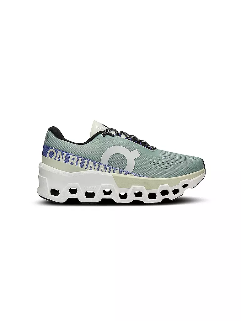 ON | Damen Laufschuhe Cloudmonster 2 | grau