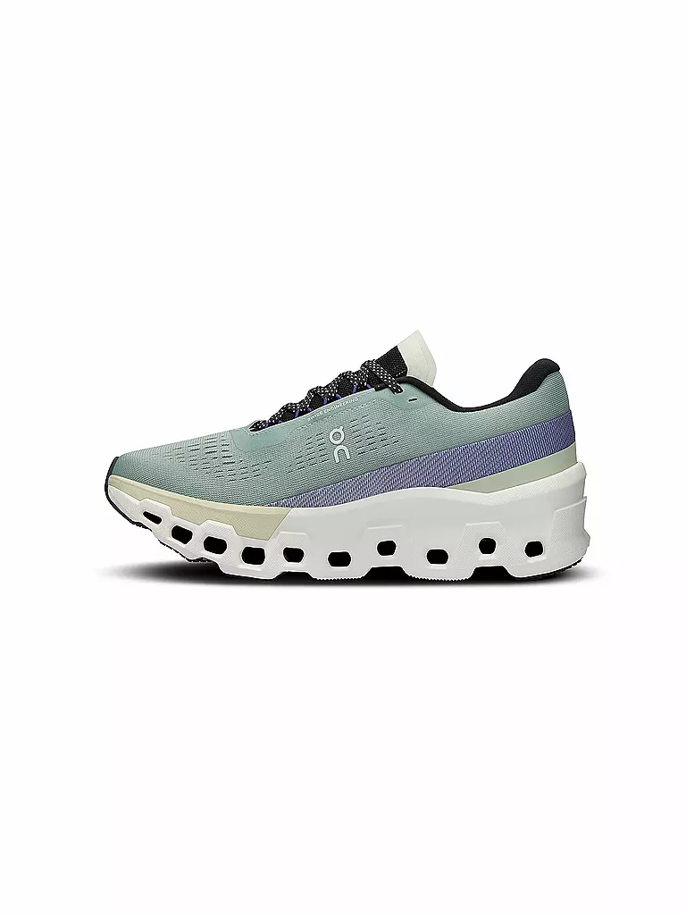 ON | Damen Laufschuhe Cloudmonster 2 | grau