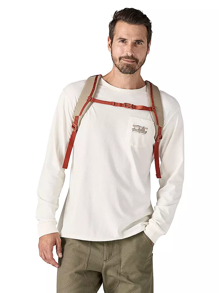 PATAGONIA | Tagesrucksack Refugio Daypack 26L | grau