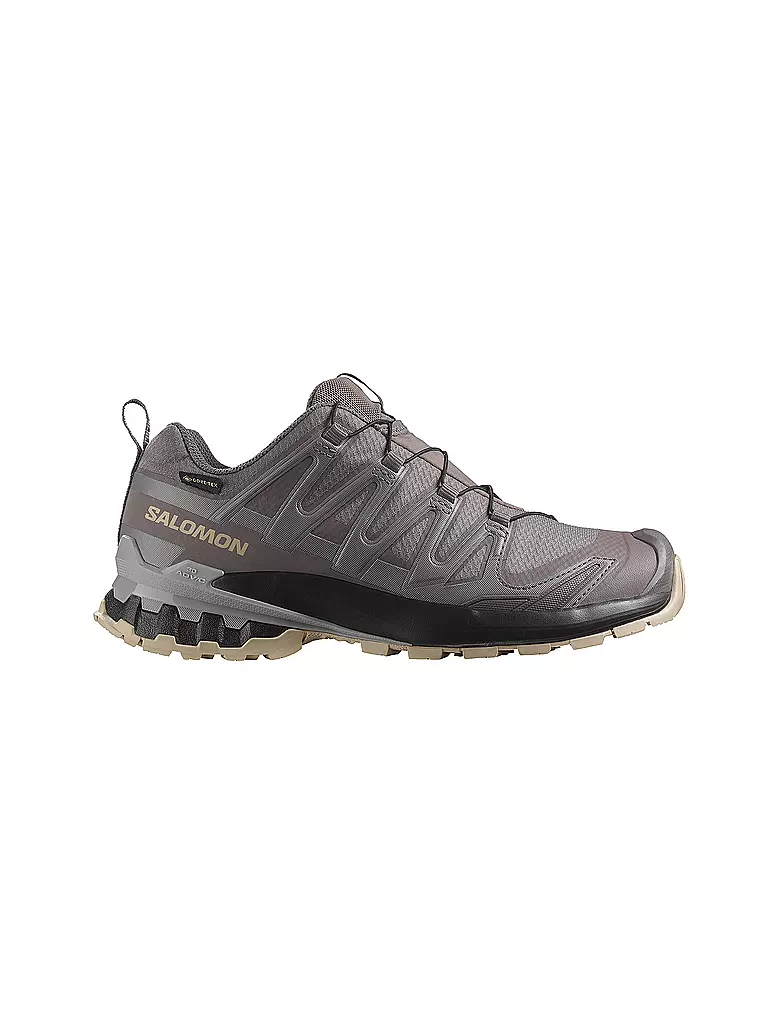 SALOMON | Damen Multifunktionsschuhe XA PRO 3D V9 GTX | beere