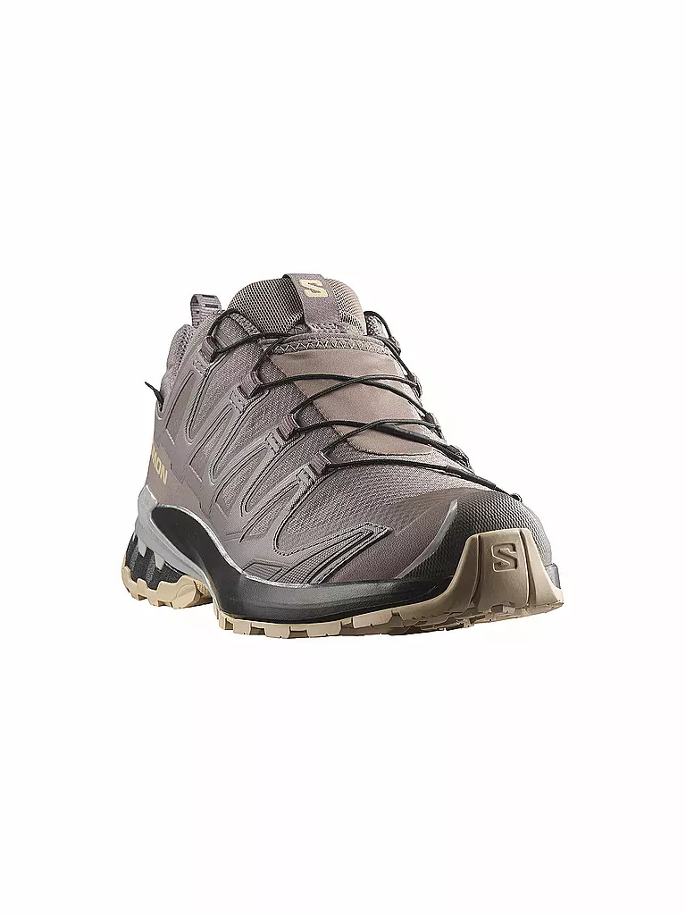 SALOMON | Damen Multifunktionsschuhe XA PRO 3D V9 GTX | beere