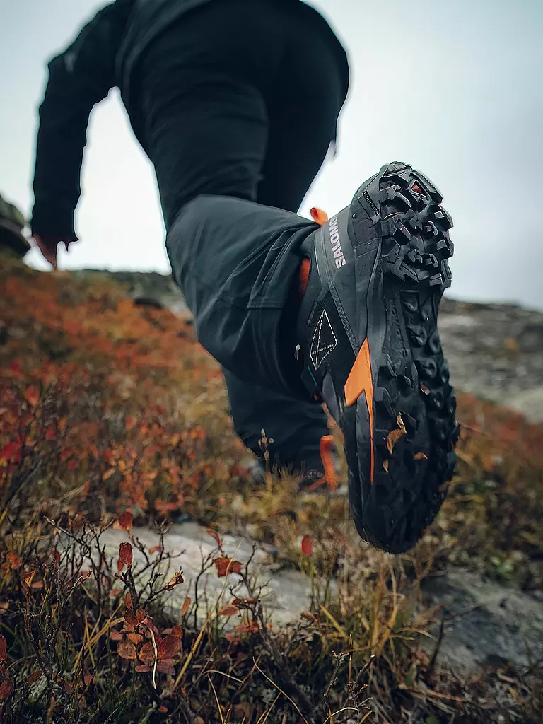 SALOMON | Herren Hikingschuhe X Ultra Alpine GTX | dunkelblau