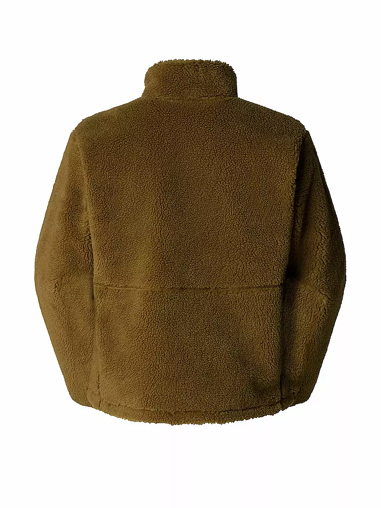 THE NORTH FACE | Herren Fleecejacke Extreme Pile Fleece | olive